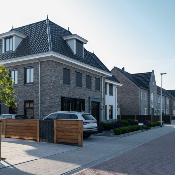 Begeleiding
